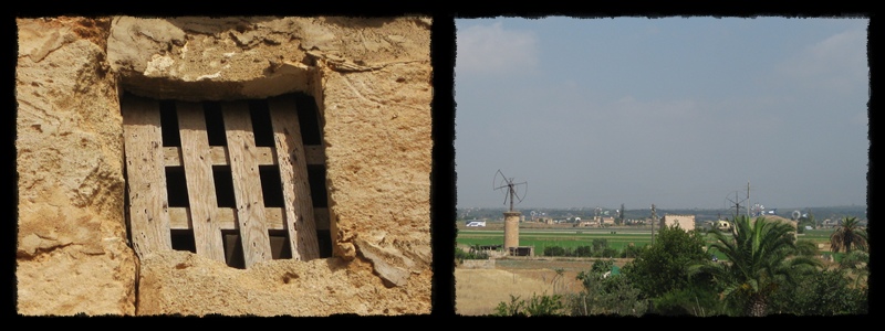 F020.jpg